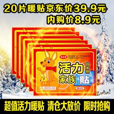 【超值特惠】大号暖贴20贴